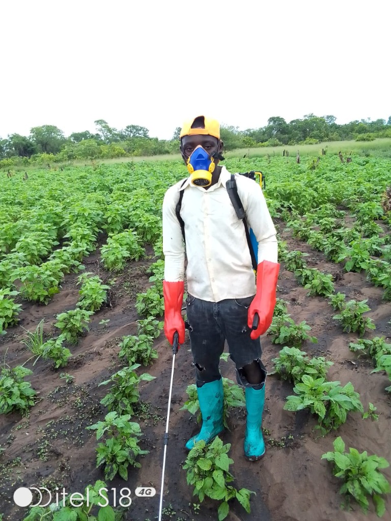 Agricultura moderna - aplicação de defensivos