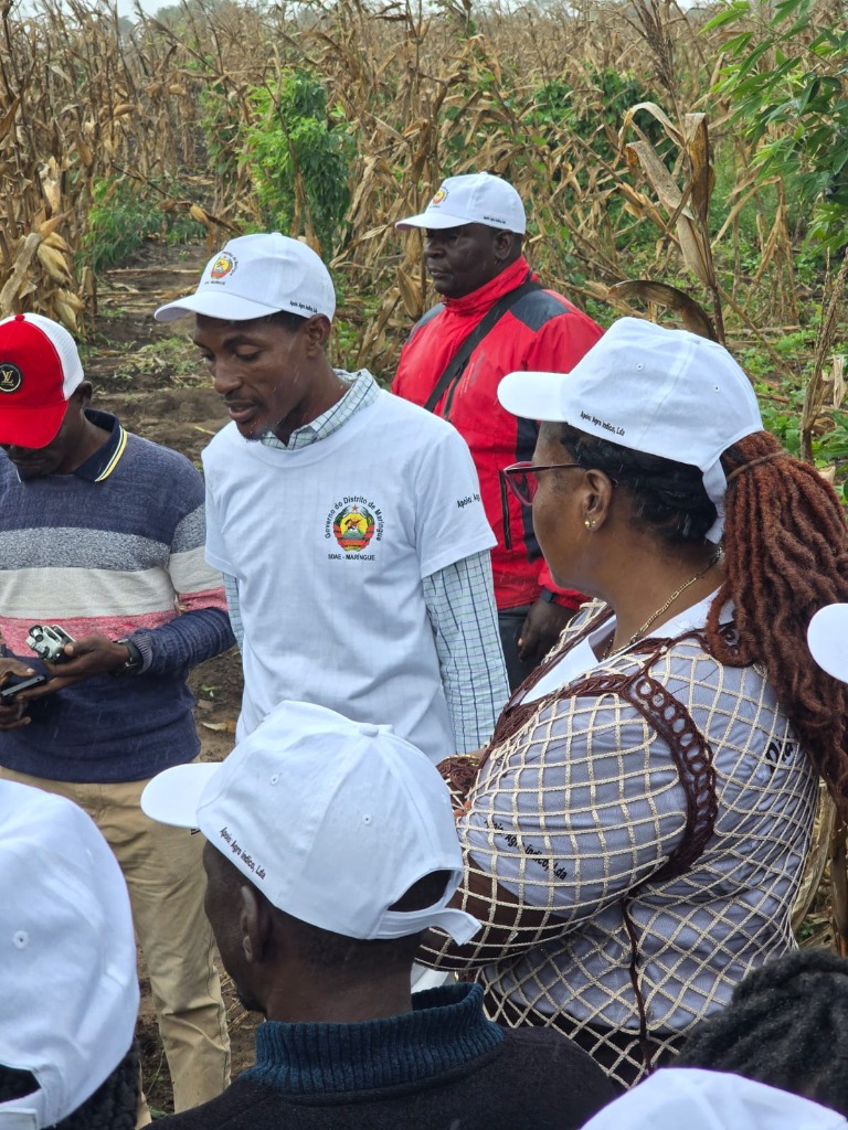 Assistência técnica agrícola
