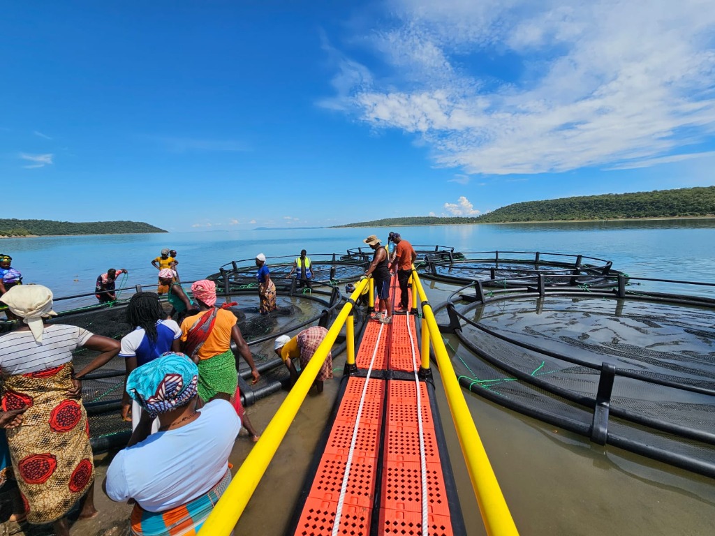 Projeto de aquacultura - tanques de piscicultura