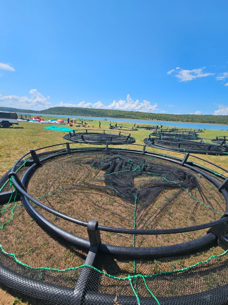 Piscicultura - estruturas de criação